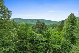 2930 Hicks Gap Rd, Blairsville, GA 30512 - Photo 40