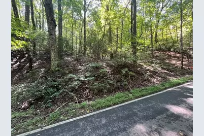 312 Wildcat Drive, Big Canoe, GA 30143 - Photo 8