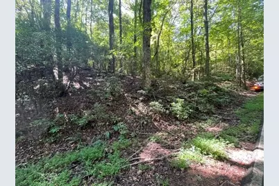 312 Wildcat Drive, Big Canoe, GA 30143 - Photo 6