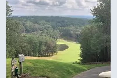 312 Wildcat Drive, Big Canoe, GA 30143 - Photo 12