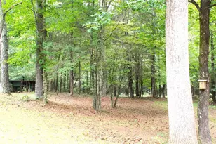 396 Old Harden Orchard Rd, Commerce, GA 30529 - Photo 4