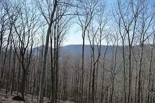 101 Deer Run, Big Canoe, GA 30143 - Photo 1