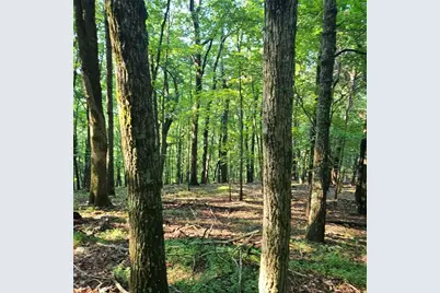 101 Deer Run, Big Canoe, GA 30143 - Photo 2