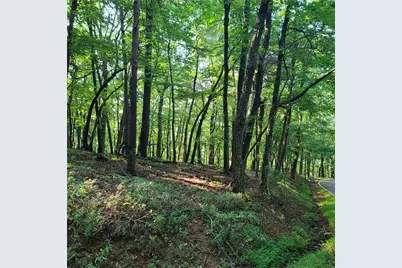 101 Deer Run, Big Canoe, GA 30143 - Photo 6