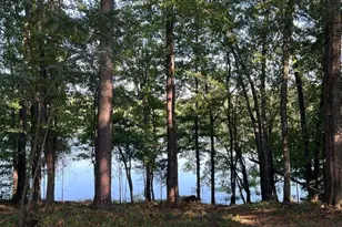 52 Lloyd Dr SE, Aragon, GA 30104 - Photo 28