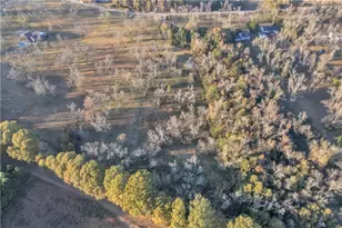 2524 E Mcintosh Rd, Griffin, GA 30223 - Photo 40