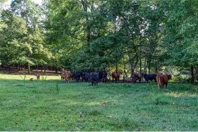 195 Connesena Road, Kingston, GA 30145 - Photo 66