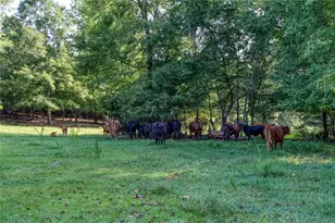 195 Connesena Rd, Kingston, GA 30145 - Photo 66