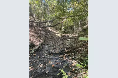 167 Jasmine Drive NE, Ranger, GA 30734 - Photo 30