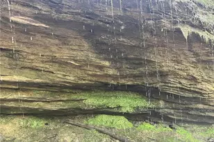 167 Jasmine Dr NE, Ranger, GA 30734 - Photo 26