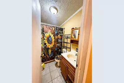 180 Alonzo Cain Road, Dahlonega, GA 30533 - Photo 16