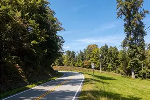 180 Alonzo Cain Rd, Dahlonega, GA 30533 - Photo 24