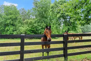 7215 Kelly Bridge Rd, Dawsonville, GA 30534 - Photo 56