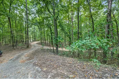 256 Robin Hood Lane NE, Fairmount, GA 30139 - Photo 38