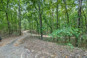 256 Robin Hood Ln N E, Fairmount, GA 30139 - Photo 38