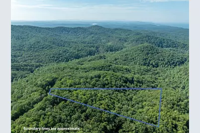 Lot 9 Brushy Top Drive, Chatsworth, GA 30705 - Photo 6