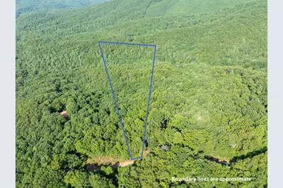 Lot 9 Brushy Top Drive, Chatsworth, GA 30705 - Photo 2