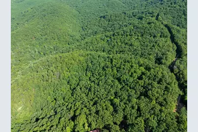 Lot 9 Brushy Top Drive, Chatsworth, GA 30705 - Photo 10