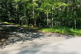 220 Maxwell Mountain Road, Blue Ridge, GA 30513 - Photo 8