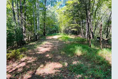 220 Maxwell Mountain Road, Blue Ridge, GA 30513 - Photo 4