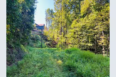 220 Maxwell Mountain Road, Blue Ridge, GA 30513 - Photo 2