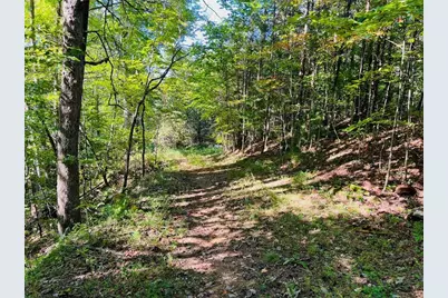 220 Maxwell Mountain Road, Blue Ridge, GA 30513 - Photo 1