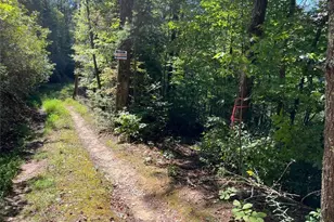 4/ 5 Maxwell Mountain Rd, Ellijay, GA 30540 - Photo 10