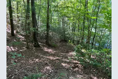 4/ 5 Maxwell Mountain Road, Ellijay, GA 30540 - Photo 12