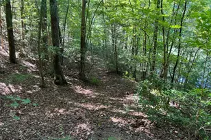 4/ 5 Maxwell Mountain Rd, Ellijay, GA 30540 - Photo 12