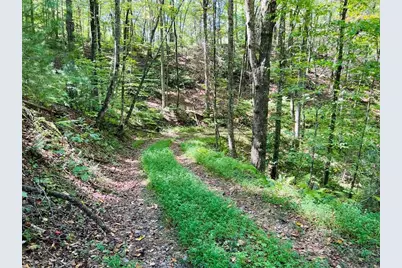4/ 5 Maxwell Mountain Road, Ellijay, GA 30540 - Photo 6