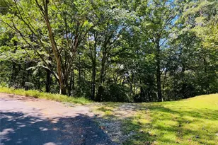 4/ 5 Maxwell Mountain Rd, Ellijay, GA 30540 - Photo 4