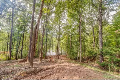 474 White Pine Circle, Demorest, GA 30535 - Photo 10