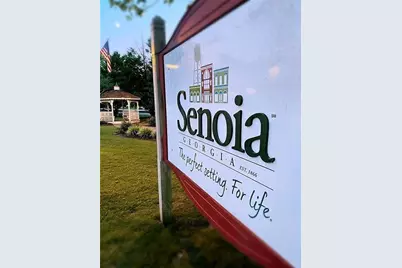 [Address not provided], Senoia, GA 30276 - Photo 28