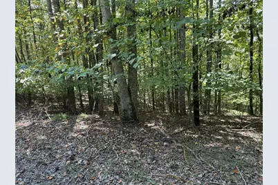 1005 Mayfield Lane NE, Ranger, GA 30734 - Photo 4