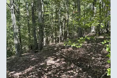 1005 Mayfield Lane NE, Ranger, GA 30734 - Photo 14