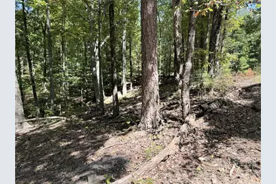 1005 Mayfield Lane NE, Ranger, GA 30734 - Photo 10