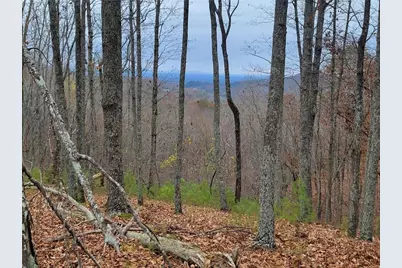 1005 Mayfield Lane NE, Ranger, GA 30734 - Photo 6