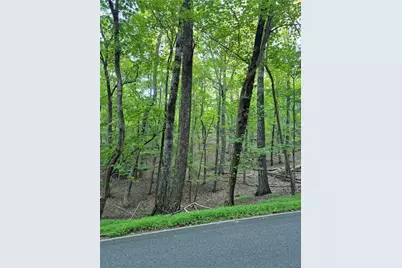 263 Wake Robin, Big Canoe, GA 30143 - Photo 2