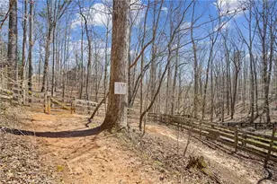 1070 Dogwood Way, Dawsonville, GA 30534 - Photo 54