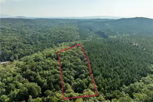 346 Berean Church Rd, Ellijay, GA 30540 - Photo 34