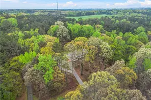 125 Bridget Dr, Hampton, GA 30228 - Photo 30