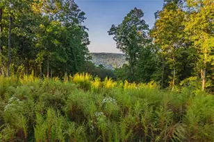 Lt 290 Anglers Ridge Rd, Talking Rock, GA 30175 - Photo 1