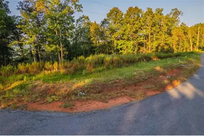 Lt 290 Anglers Ridge Road, Talking Rock, GA 30175 - Photo 8