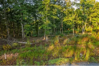 Lt 290 Anglers Ridge Road, Talking Rock, GA 30175 - Photo 12