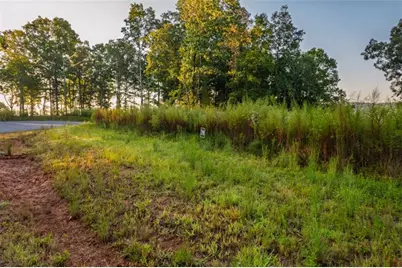 Lt 290 Anglers Ridge Road, Talking Rock, GA 30175 - Photo 6