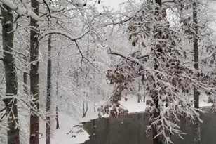 5419 Tyree Rd, Winston, GA 30187 - Photo 74