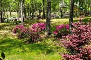 5419 Tyree Rd, Winston, GA 30187 - Photo 70