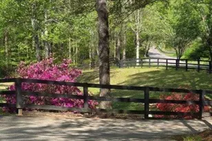 5419 Tyree Rd, Winston, GA 30187 - Photo 58