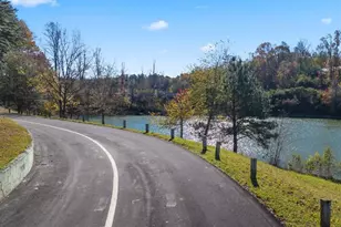 6749 Leigh St, Flowery Branch, GA 30542 - Photo 132