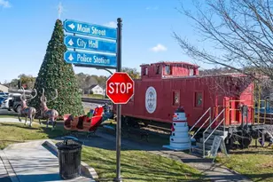 6749 Leigh St, Flowery Branch, GA 30542 - Photo 112